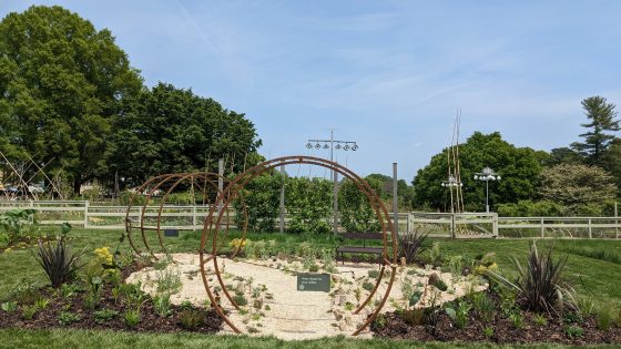 A garden with metal round arbors, stone pathway, and planting on the edges.